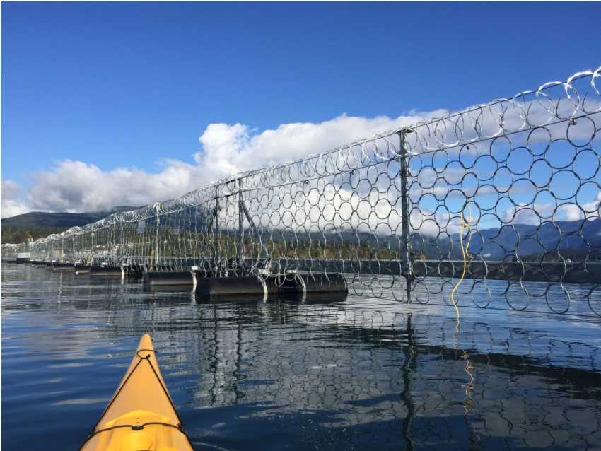 Kinder Morgan's razor wire fence